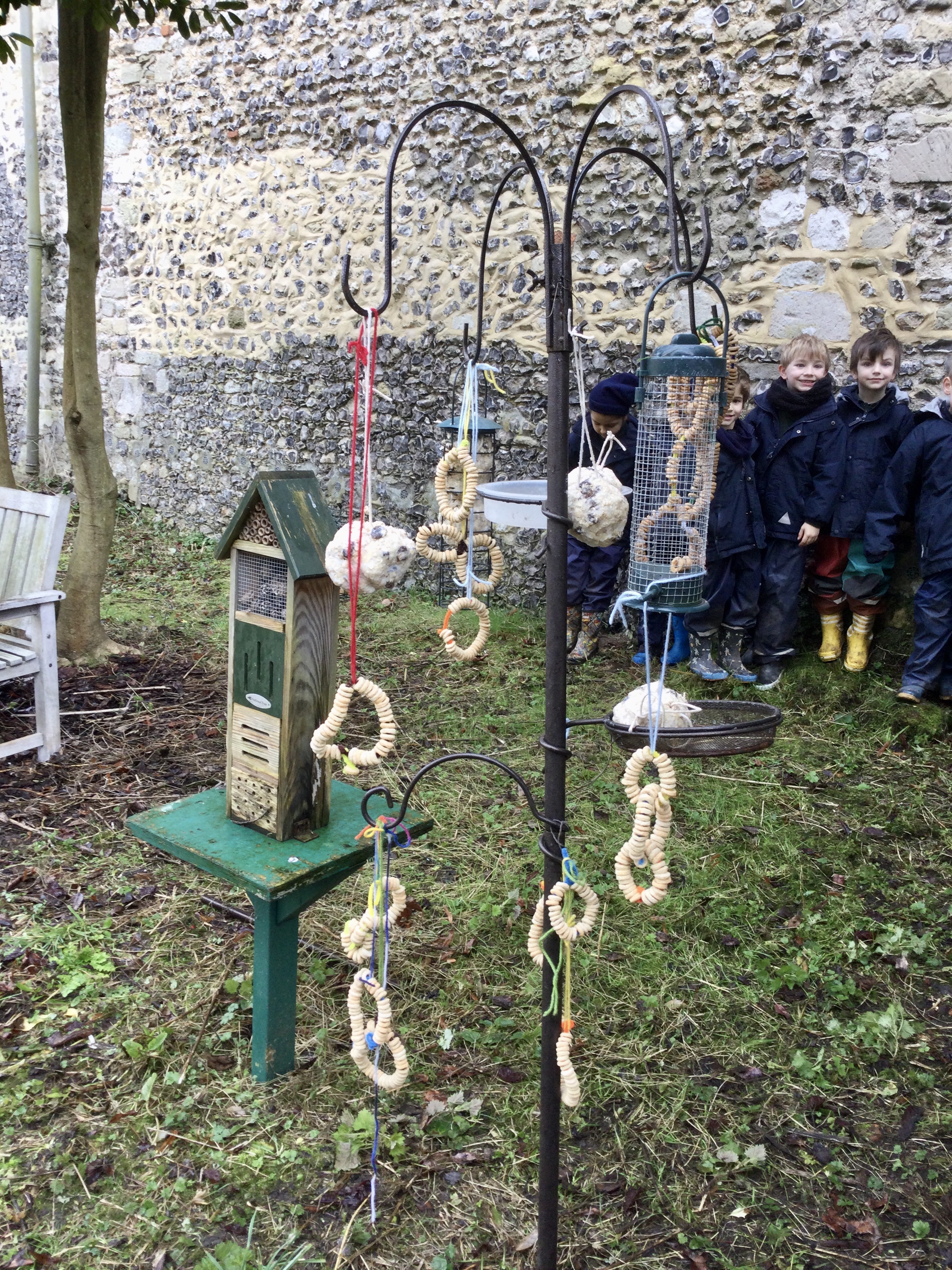 Feeding the birds