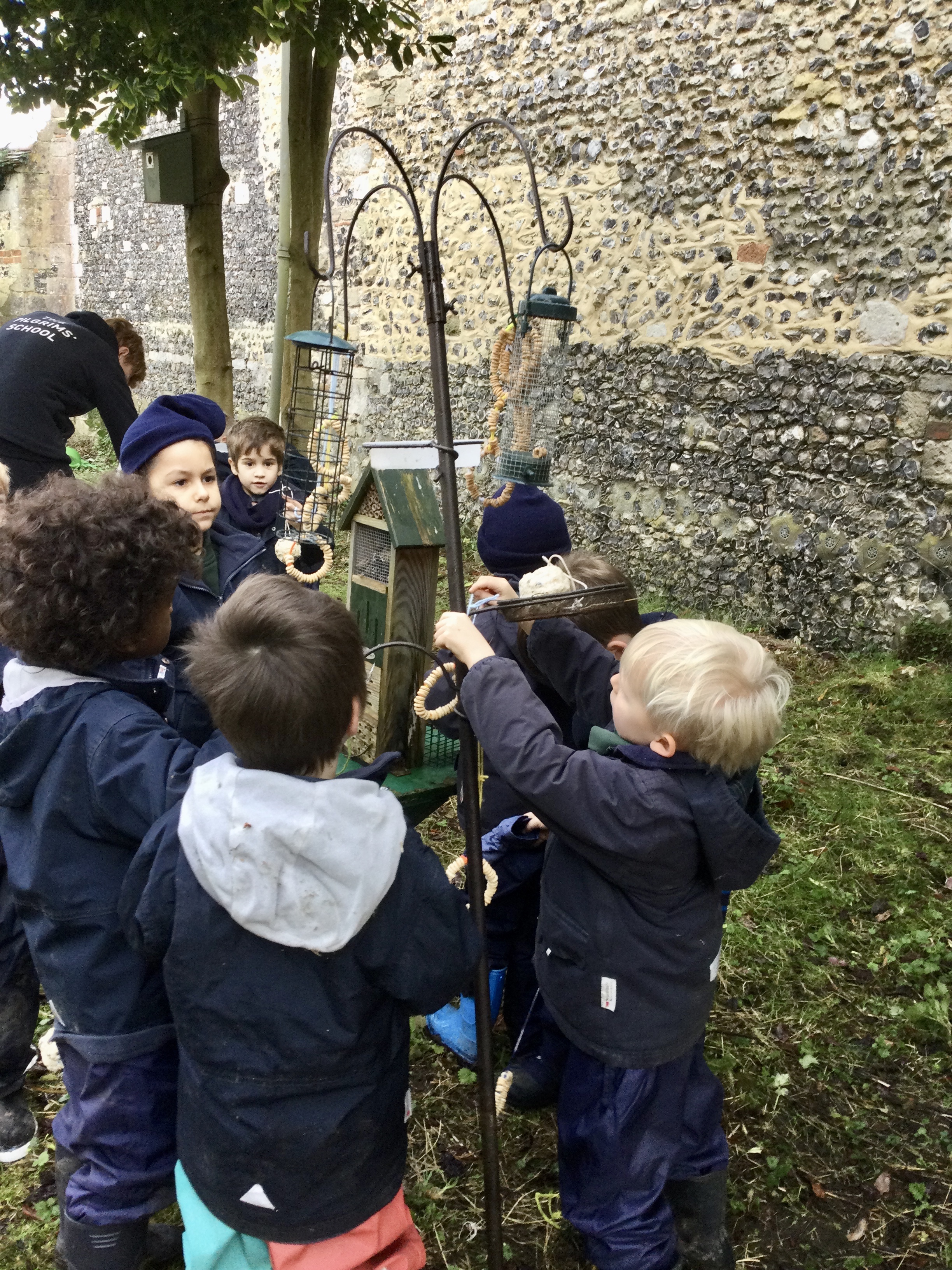 Feeding the birds