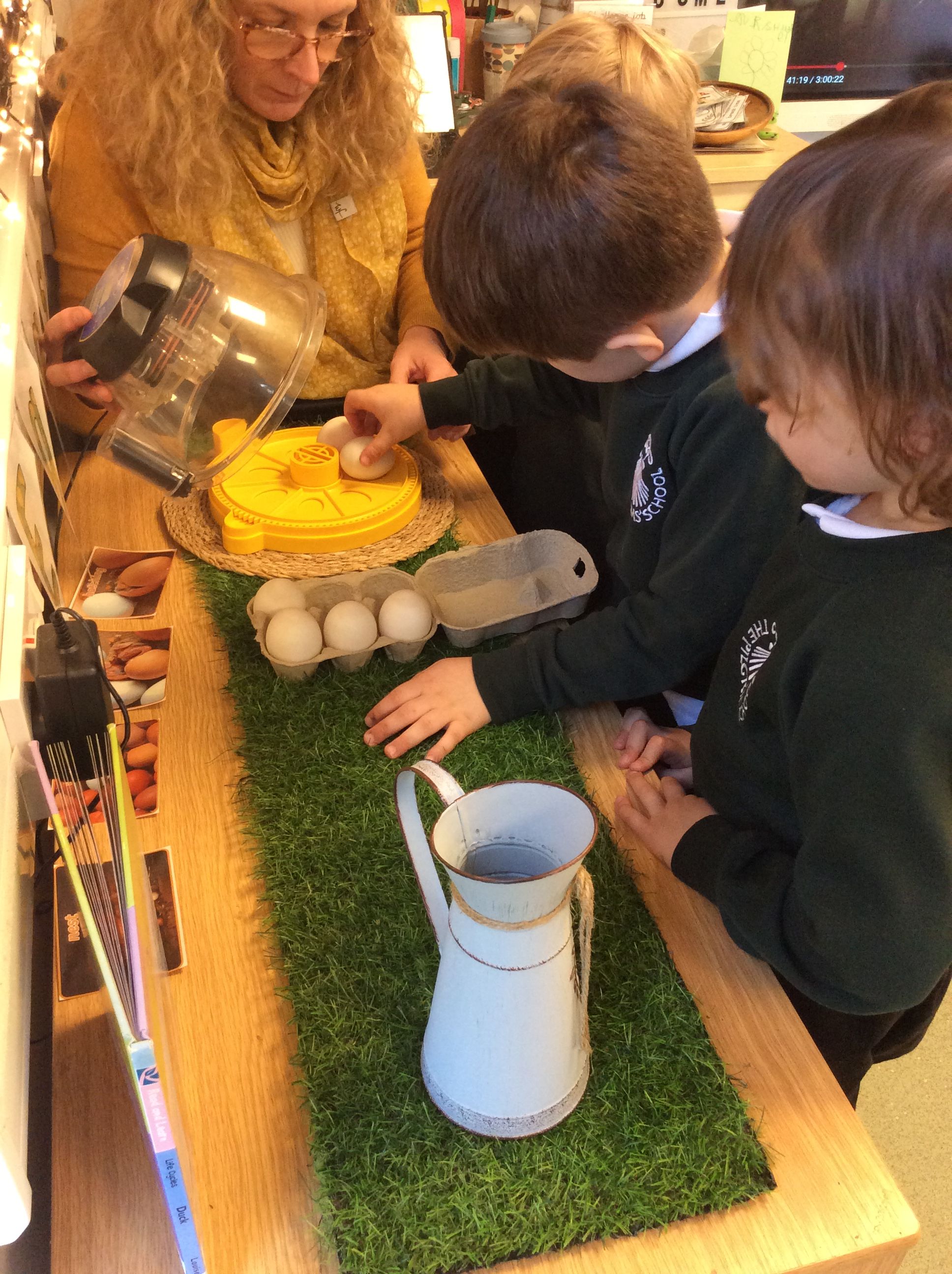 Looking at the incubator and eggs